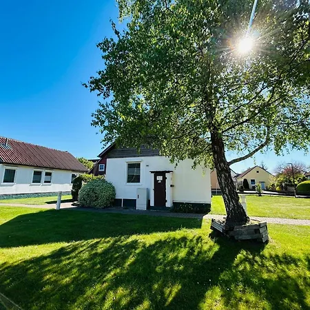Boddenwind 2 Ferienhaus Ostseeheilbad Zingst
